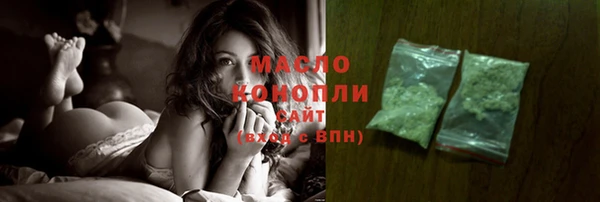 прущий лед Михайлов