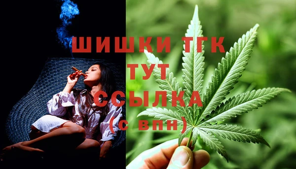 дмт Медногорск