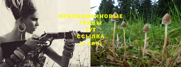 дмт Медногорск