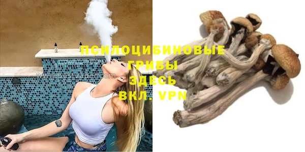 мескалин Мегион