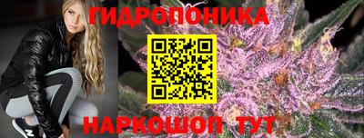 ПСИЛОЦИБИНОВЫЕ ГРИБЫ Абакан