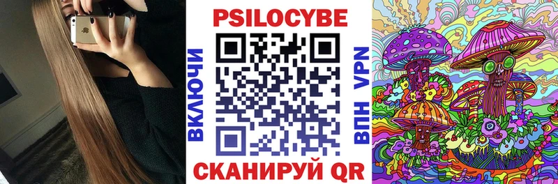 Галлюциногенные грибы Psilocybe Махачкала