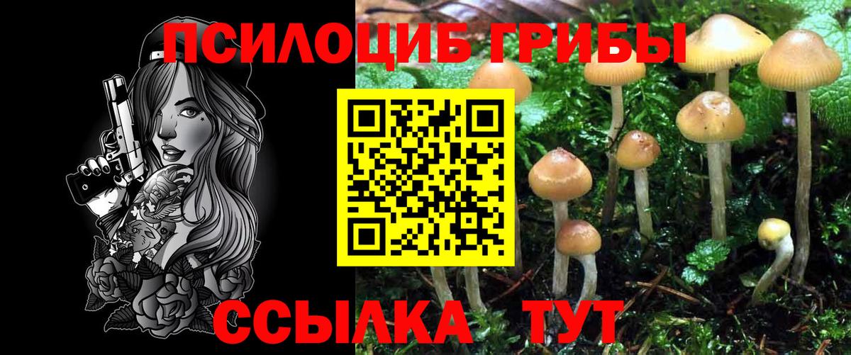 Галлюциногенные грибы прущие грибы  купить наркотики сайты  Вход с VPN  Махачкала  Галлюциногенные грибы мицелий 